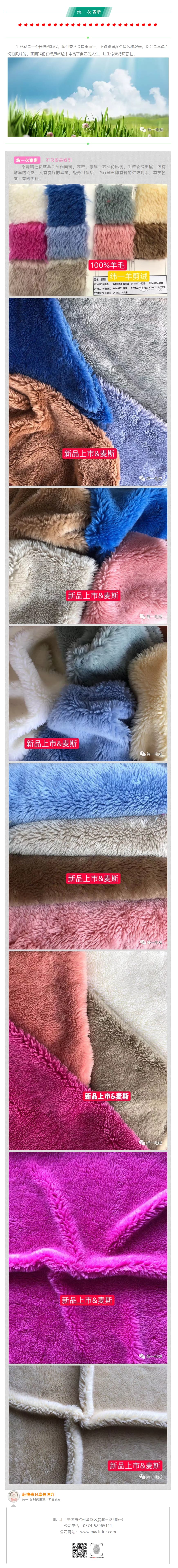 纬一5毛绒改.jpg